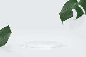 3dproductpresentationbackgroundwithwhitepodiumandmonsteraleafjpg Refúgio Refúgio