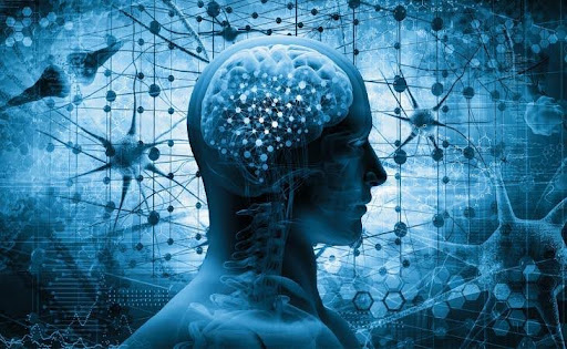 unnamed 21 Refúgio Refúgio